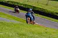 cadwell-no-limits-trackday;cadwell-park;cadwell-park-photographs;cadwell-trackday-photographs;enduro-digital-images;event-digital-images;eventdigitalimages;no-limits-trackdays;peter-wileman-photography;racing-digital-images;trackday-digital-images;trackday-photos